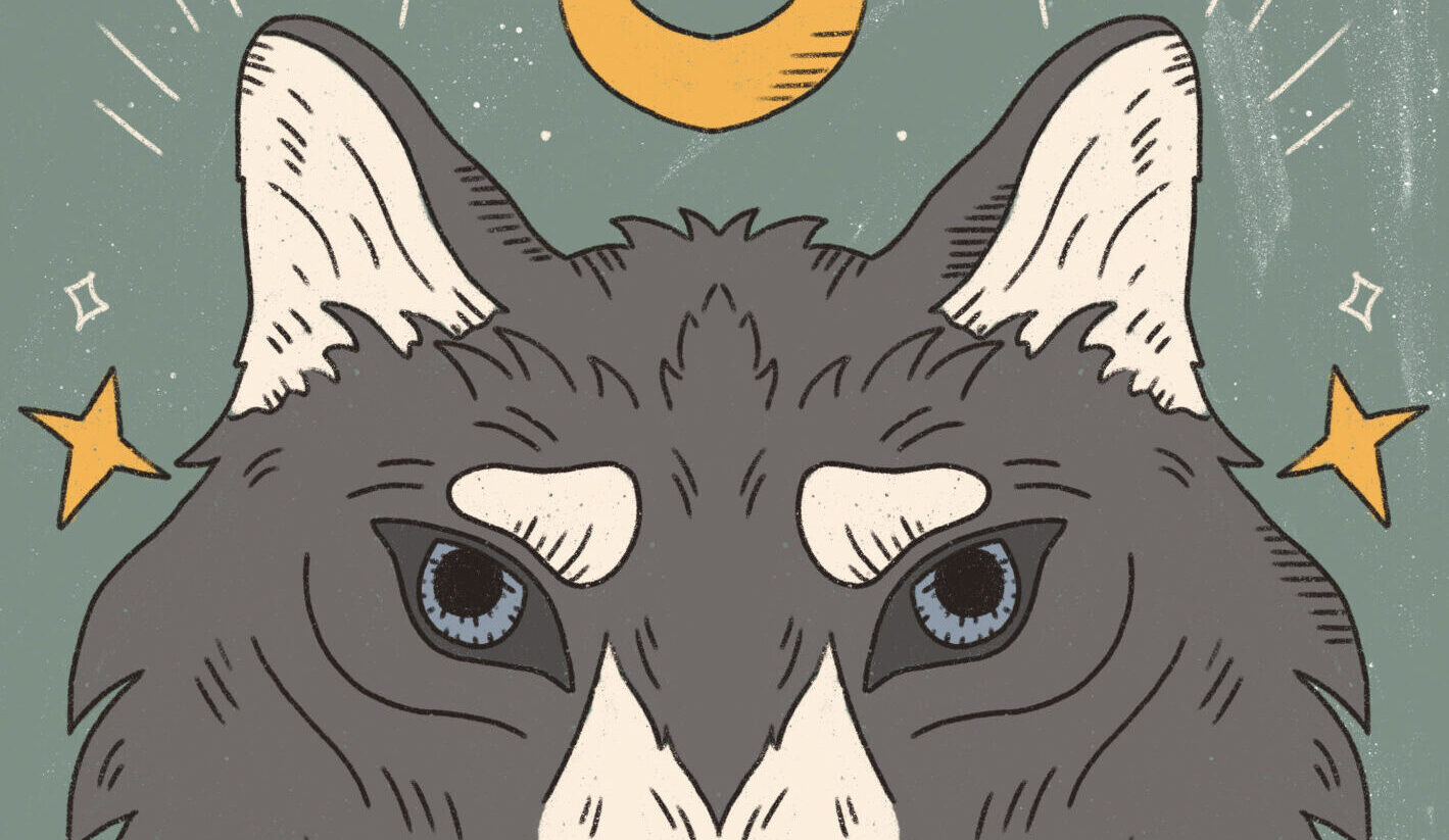 4 arcana destiny matrix