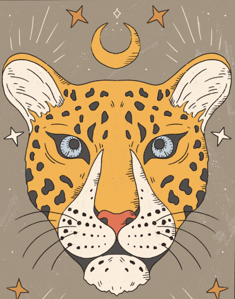 11 arcana destiny matrix