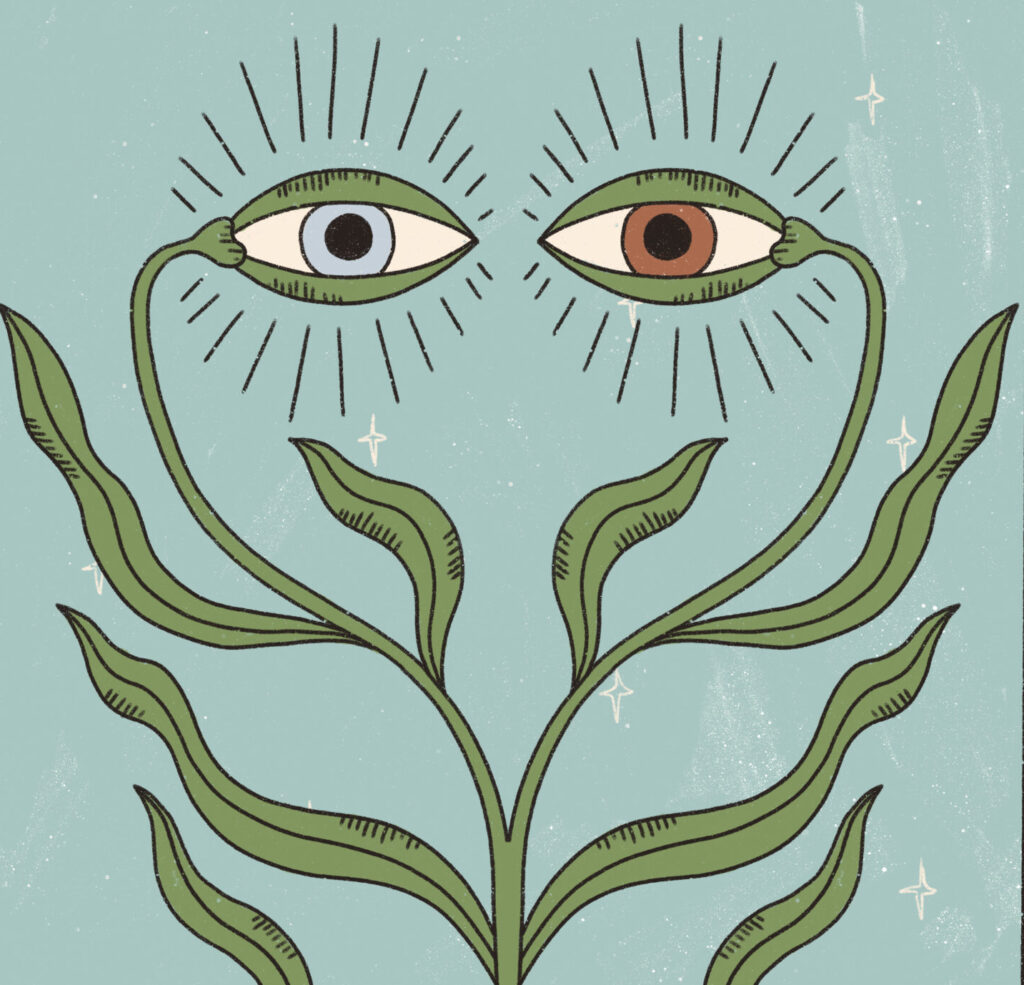 7 arcana destiny matrix