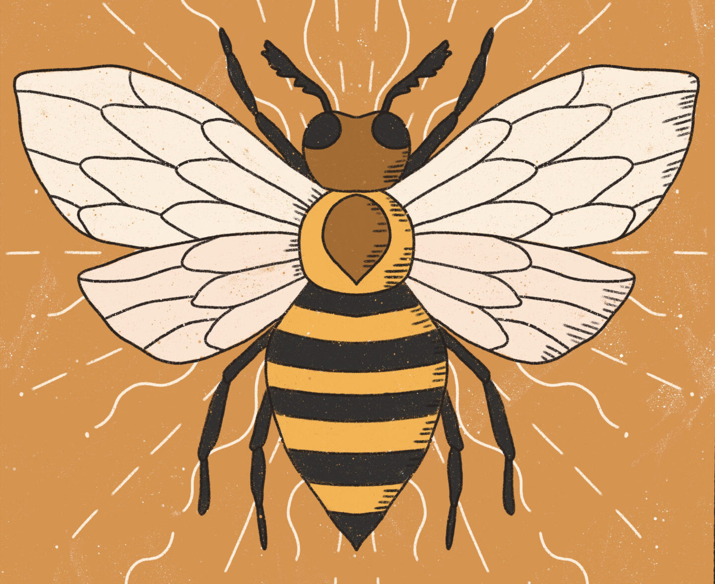 12 Arcana in the destiny matrix